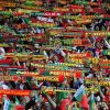 adeptos de portugal