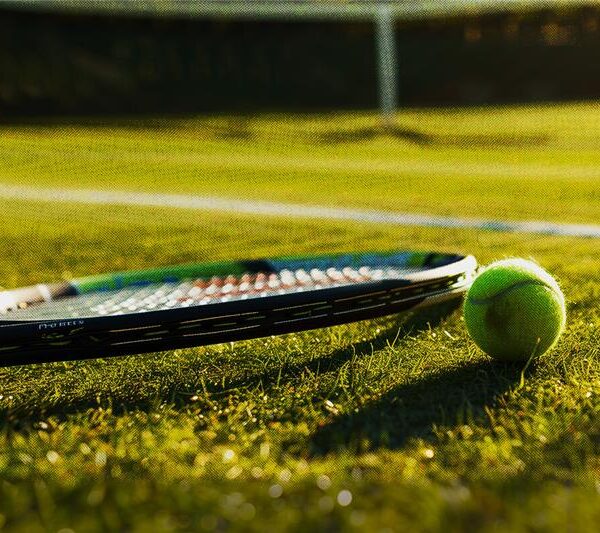 Grand Slam Wimbledon 2025 - Torneio de Ténis